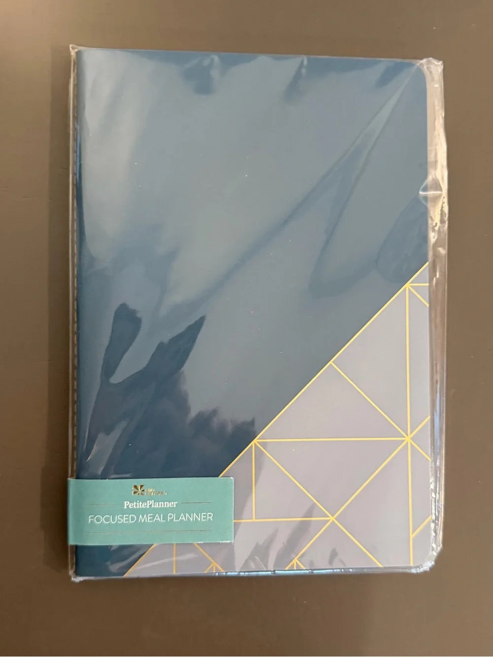 Erin Condren Focused Meal Petite Planner